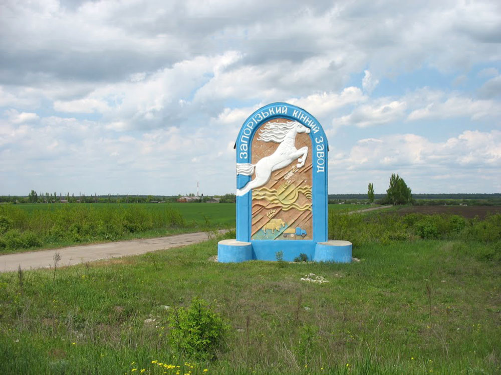 Новомиколаївський район